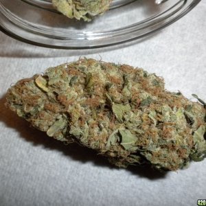 pineapple express bud