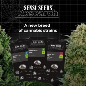 SensiSeedsResearch_header.jpg