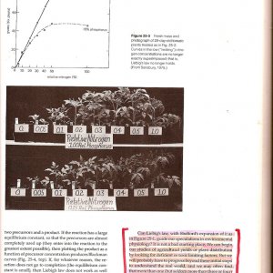 Environmental_Factors_4