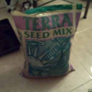 seedmix