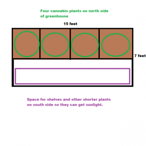 Greenhouse Grow Plan.png