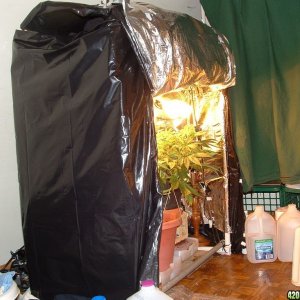 Woodman's Homemade Grow Tent