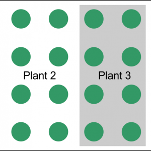 Four Plants.png