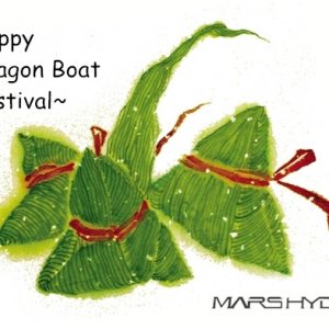 happy dragon boat festival.jpg