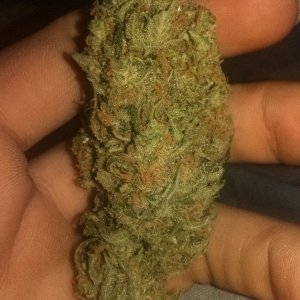 GSCrack nug!