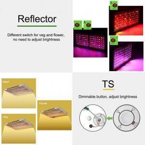 Reflector vs Mars TS