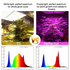 Mars TS vs Mars Reflector