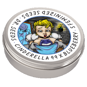 cinderella-99xblueberry_Tin-1.png