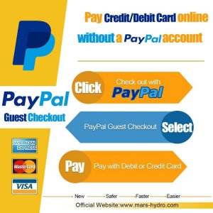 paypal guest check out 2.jpg