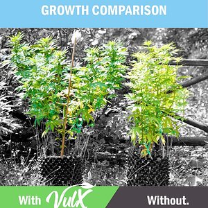 GrowthComparison