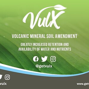 A Vulx Ad