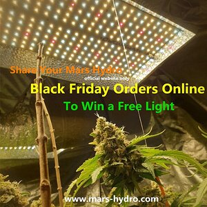 Mars Hydro Black friday orders