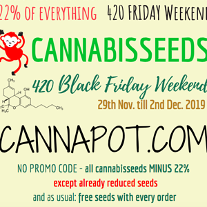 black-friday-weekend-2019-cannapot-seedstore-cannabis-hanf.png