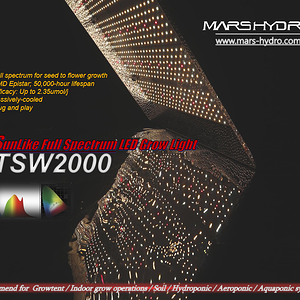 Mars Hydro TSW 2000