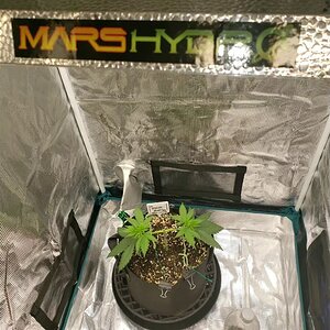 Mars Hydro TS600