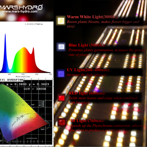 SP 250 spectrum