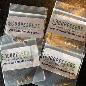 Dope Seeds - contest winnings!