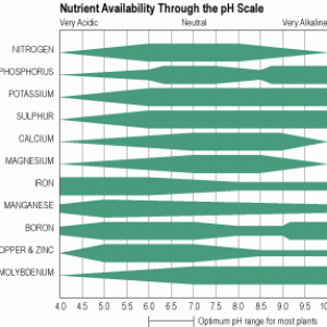 Nutrient chart