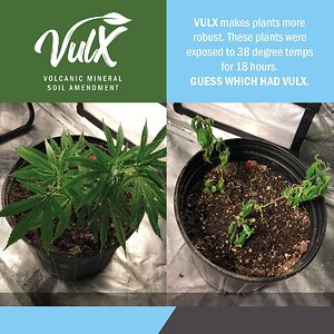 Frozen Plants - Vulx Side-by-Side