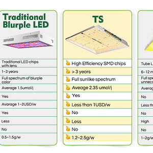 Comparison with other lights - TS (1).jpg