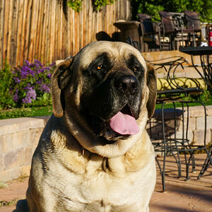 Yoshis his name, eating is his game. My big boy