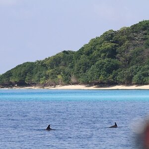 Photo I took from a boat at a small island off the coast of West Java