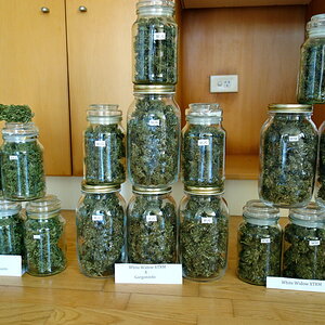 GGa, WWG, WW  -  3 plants dried trimmed and jarred.