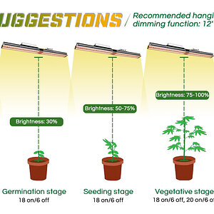 Mars Hydro SP3000 Indooring growing- grow tips- recommendation height-06.jpg