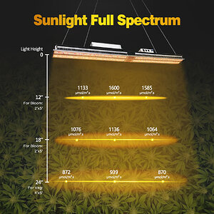 Mars Hydro SP 3000 led grow light - PPFD - 4.jpg