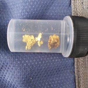 Some nice little nugs the gold kind