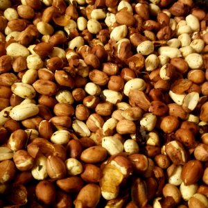 Roasted peanuts