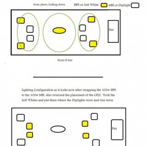 Woodsman's NL#5 Grow Flower day 52 Lighting Configuration