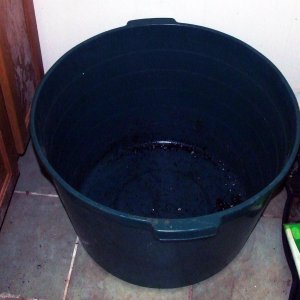 bucket.jpg