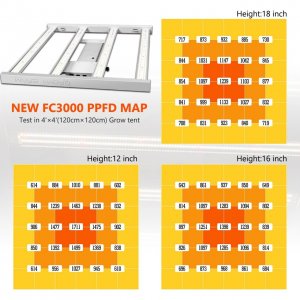 FC3000 micromol maps