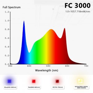 FC3000 light chart