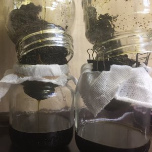 Straining infused oils