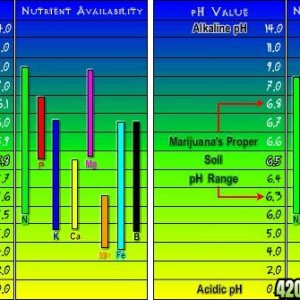 nutrient_chart2