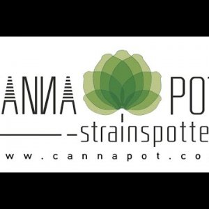 Strainspotter: the perfect Search-APP for Cannabisseeds