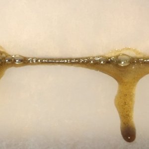 DrS’CBD30:1 rosin