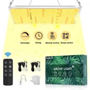 WEEGrow Light.jpg