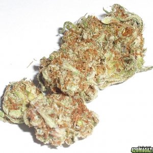 trainwreck