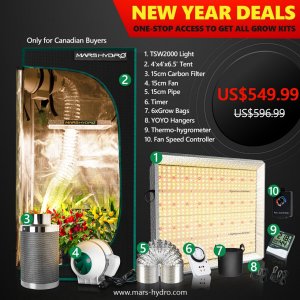 TSW2000 4x4 grow tent kits