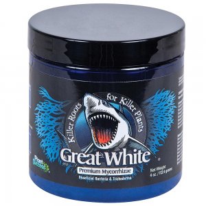 Great_White_510x@2x.progressive.jpg