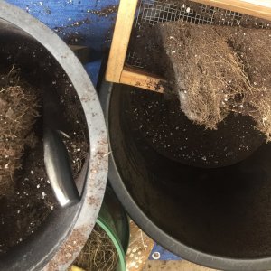 Soil recovery