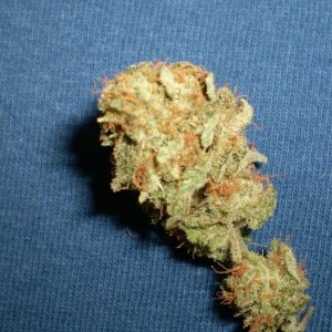 TRAINWRECK       4/2010