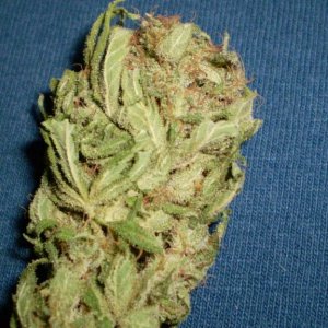 TRAINWRECK       4/2010