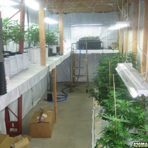 Veg room