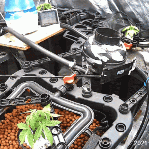 20210417_092214.gif