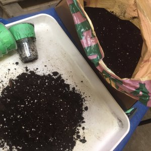 Prepping the soil