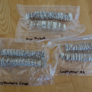 Cobs wrapped, tied, & vac sealed after 3 days of fermenting - 23 Apr 2021